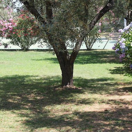 Résidence Le Clos des Oliviers Sorbo-Ocagnano Exterior foto