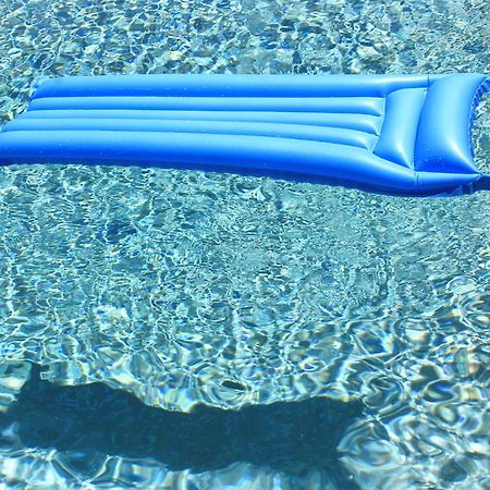 Résidence Le Clos des Oliviers Sorbo-Ocagnano Exterior foto