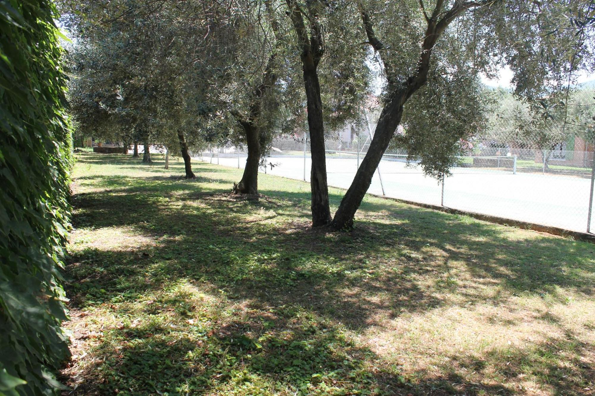 Résidence Le Clos des Oliviers Sorbo-Ocagnano Quarto foto