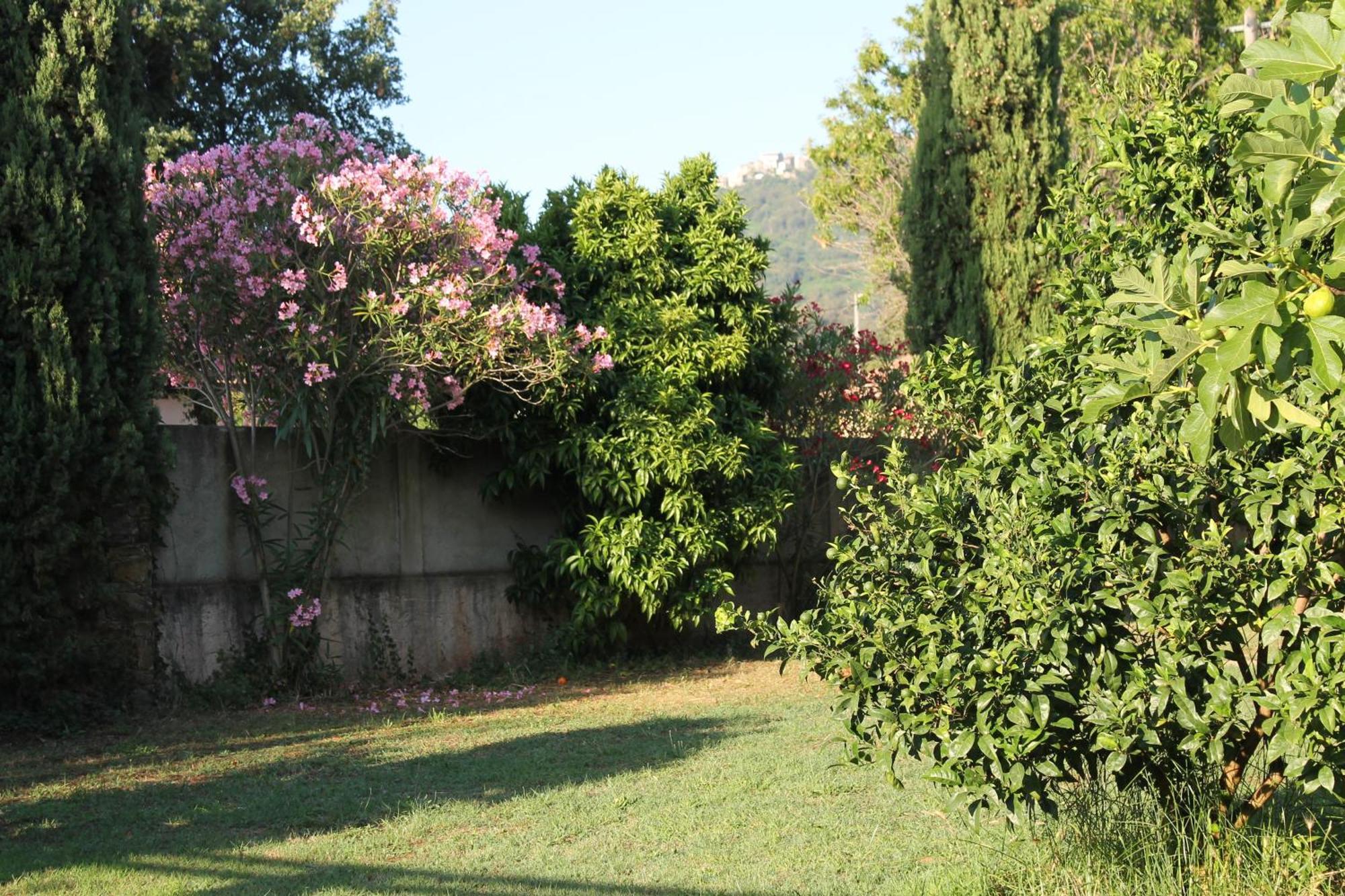 Résidence Le Clos des Oliviers Sorbo-Ocagnano Quarto foto