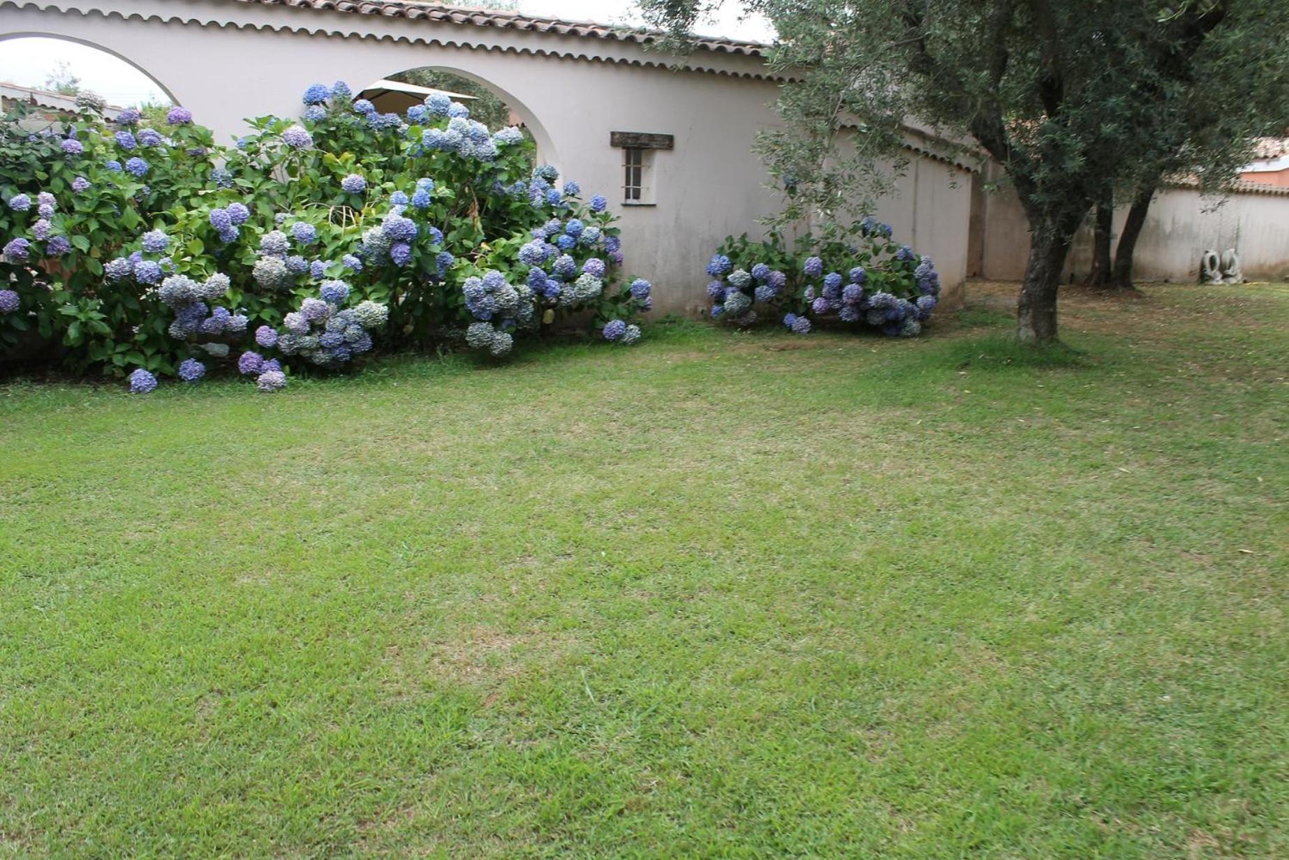 Résidence Le Clos des Oliviers Sorbo-Ocagnano Exterior foto
