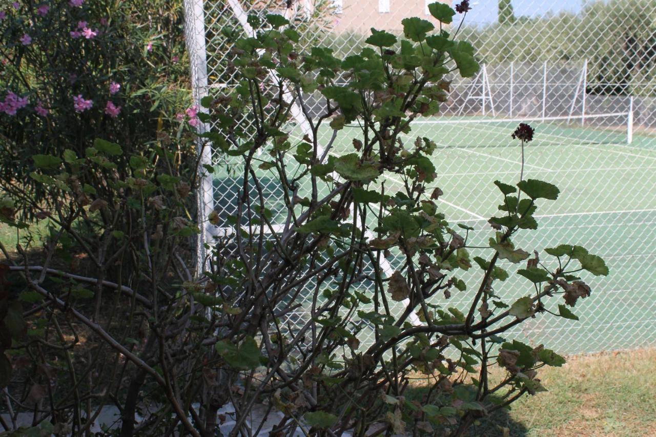 Résidence Le Clos des Oliviers Sorbo-Ocagnano Exterior foto
